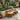 Organic Tree Root Backrest Live Edge Sculptural Wood Bench