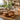 Sora Organic Solid Wood Coffee Table
